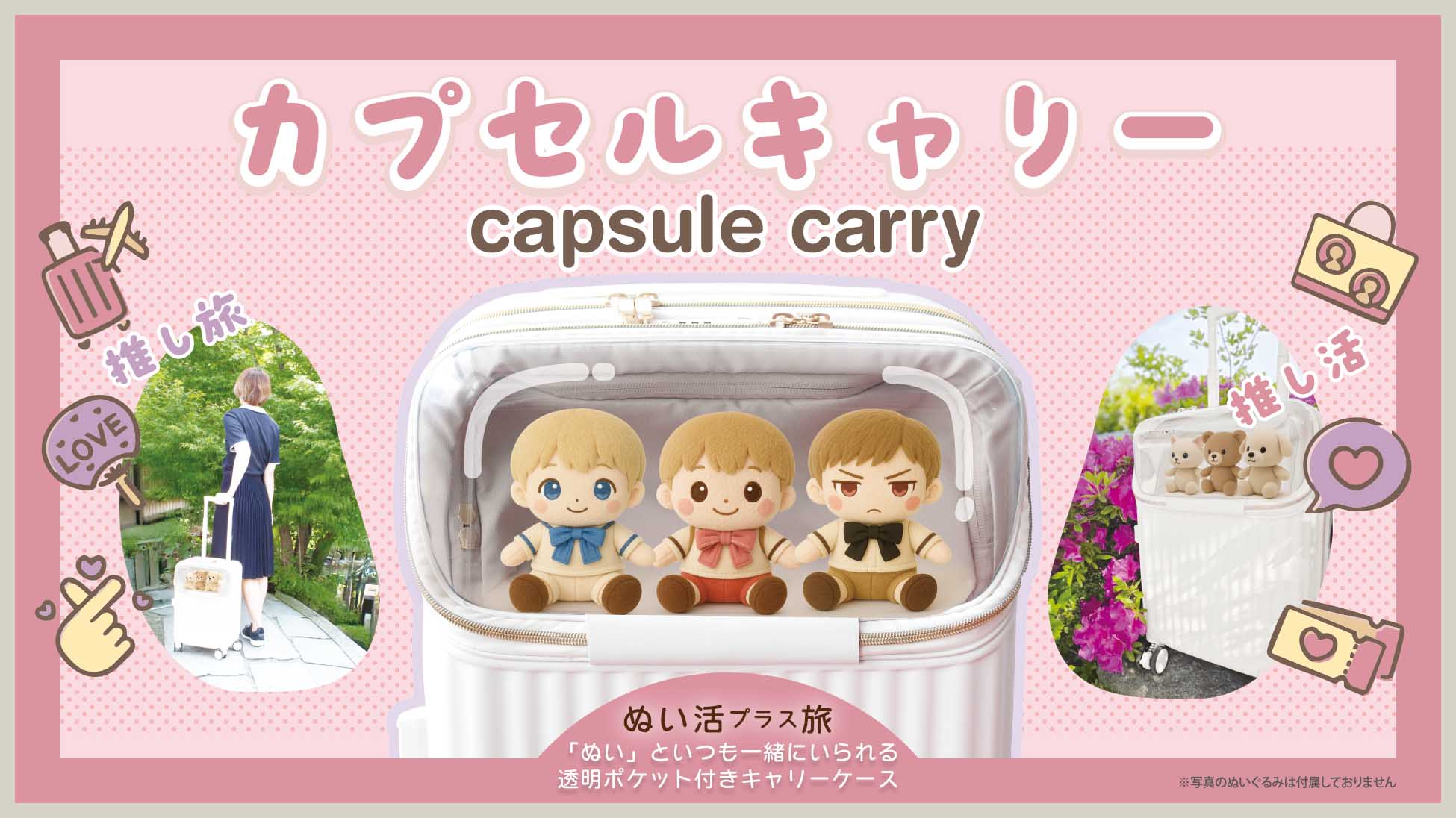 カプセルキャリーケース