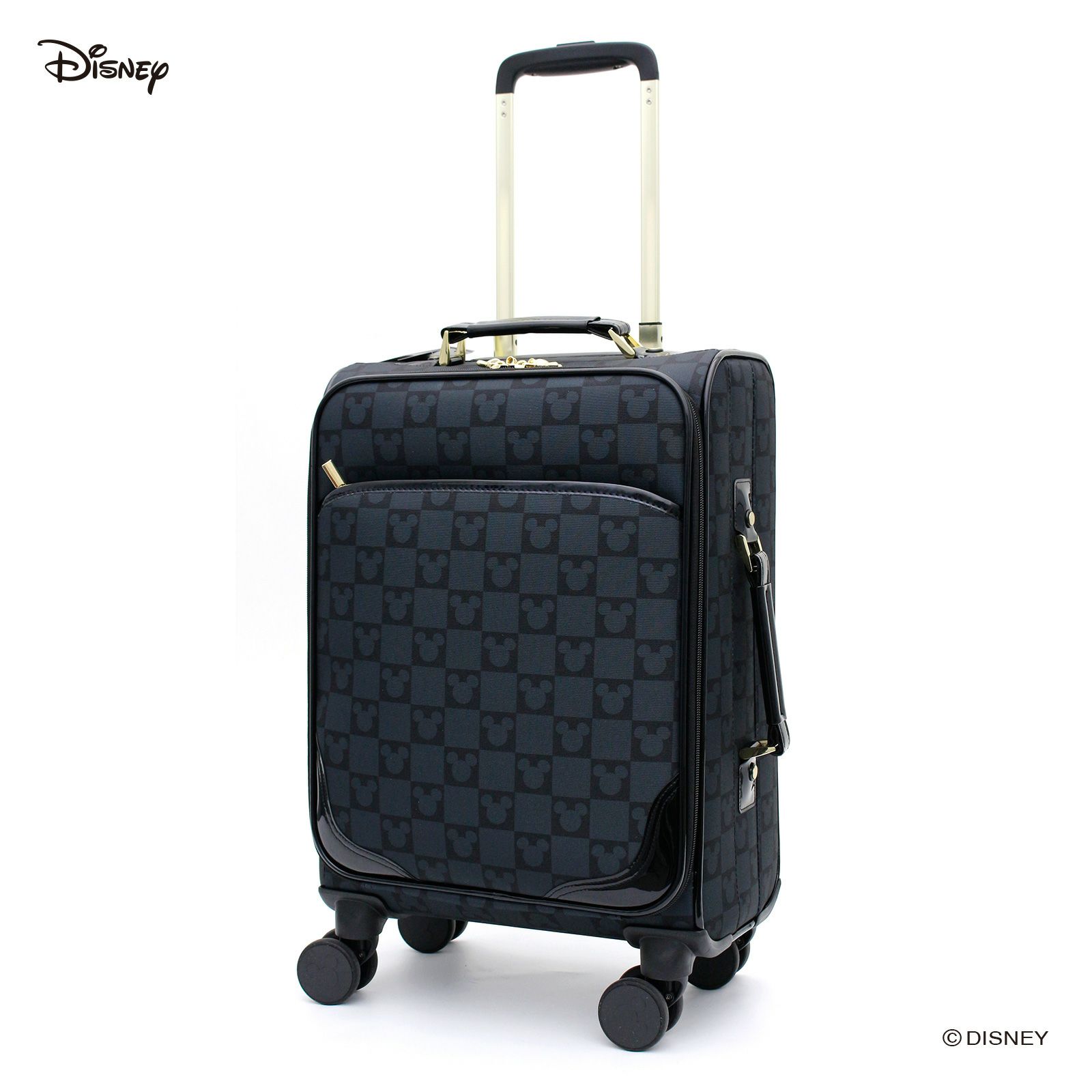 ソフトキャリーバッグ Sサイズ Disney ミッキーマウス HAP3115-46  